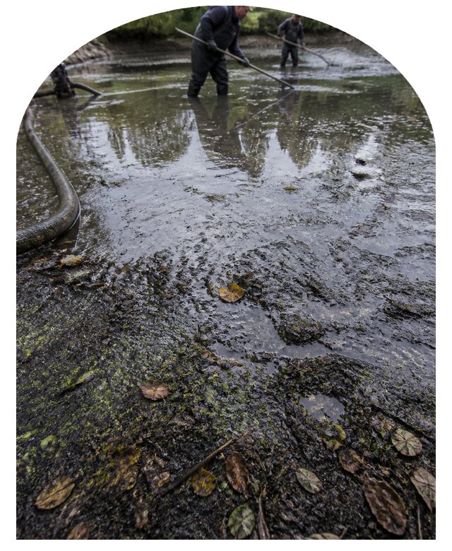 Очистка пруда в Балашове от ила мусора и водорослей с вывозом